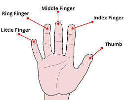 fingers meaning